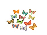 Butterfly Dot 12