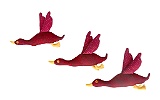 Dot Flying Ducks I